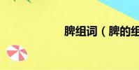 脾組詞(脾的組詞)