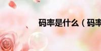碼率是什么(碼率介紹)