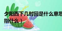 夕陽西下幾時回是什么意思(夕陽西下幾時回指什么)