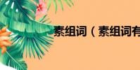 素組詞(素組詞有哪些)