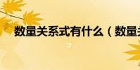 數量關系式有什么(數量關系式的介紹)