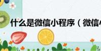 什么是微信小程序(微信小程序的解釋)