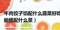 牛肉餃子餡配什么蔬菜好吃(制作牛肉餃子餡能搭配什么菜)
