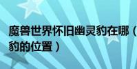 魔獸世界懷舊幽靈豹在哪(魔獸世界懷舊幽靈豹的位置)