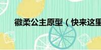 徽柔公主原型(快來這里科普知識了)