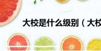 大校是什么級別(大校級別簡述)
