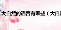 大自然的語言有哪些(大自然的語言是什么)