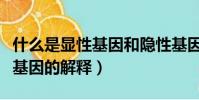什么是顯性基因和隱性基因(顯性基因和隱性基因的解釋)