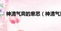 神清氣爽的意思(神清氣爽是什么意思)