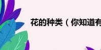 花的種類(你知道有多少嗎)