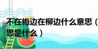 不在梅邊在柳邊什么意思(不在梅邊在柳邊意思是什么)