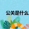 公關是什么意思啊（公關的意思是什么）