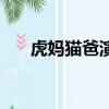 虎媽貓爸演員表（有你喜歡的演員嗎）