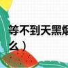 等不到天黑煙火不會太完美什么歌（歌詞是什么）