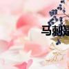 馬刺是什么東西（馬刺簡述）