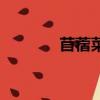 苜蓿菜的吃法（苜蓿菜做法）