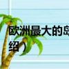 歐洲最大的島嶼是什么島（歐洲最大的島嶼介紹）