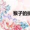猴子的拼音（猴子的拼音是什么）