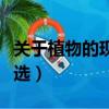 關于植物的現代詩大全（關于植物的現代詩精選）