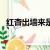 紅杏出墻來是什么意思（紅杏出墻來出處）