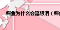 鱷魚為什么會流眼淚(鱷魚流眼淚原因)