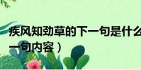 疾風知勁草的下一句是什么(疾風知勁草的下一句內容)