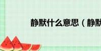 靜默什么意思(靜默的意思)