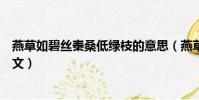 燕草如碧絲秦桑低綠枝的意思(燕草如碧絲秦桑低綠枝的原文)