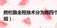 跨欄跑全程技術分為哪四個部分(跨欄跑的介紹)