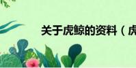 關于虎鯨的資料(虎鯨簡介)