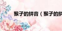 猴子的拼音(猴子的拼音是什么)