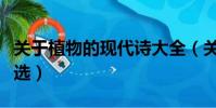關于植物的現代詩大全(關于植物的現代詩精選)