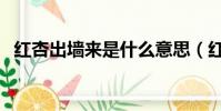 紅杏出墻來是什么意思(紅杏出墻來出處)