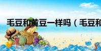 毛豆和黃豆一樣嗎(毛豆和黃豆是一種東西嗎)