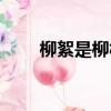 柳絮是柳樹的什么（是怎么形成的）