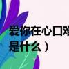 愛你在心口難開歌詞（愛你在心口難開的歌詞是什么）