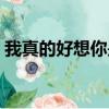 我真的好想你是什么歌（這首歌的完整歌詞）