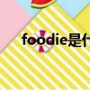 foodie是什么意思（foodie簡單釋義）