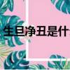 生旦凈丑是什么意思（它們各自指的是什么）