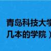 青島科技大學是幾本（青島市科技大學到底是幾本的學院）
