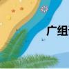 廣組詞有哪些（廣的組詞）