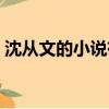 沈從文的小說有哪些（沈從文的小說有什么）