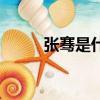 張騫是什么人物（張騫人物簡介）