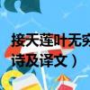 接天蓮葉無窮碧是哪首詩（接天蓮葉無窮碧全詩及譯文）