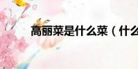 高麗菜是什么菜(什么是高麗菜)