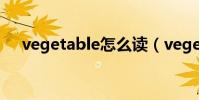 vegetable怎么讀(vegetable如何讀)