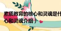 素質教育的核心和靈魂是什么(素質教育的核心和靈魂介紹)