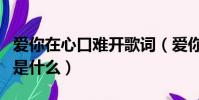 愛你在心口難開歌詞(愛你在心口難開的歌詞是什么)