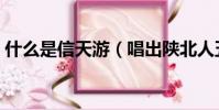 什么是信天游(唱出陜北人五味俱全的生活)