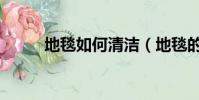地毯如何清潔(地毯的清潔方法)